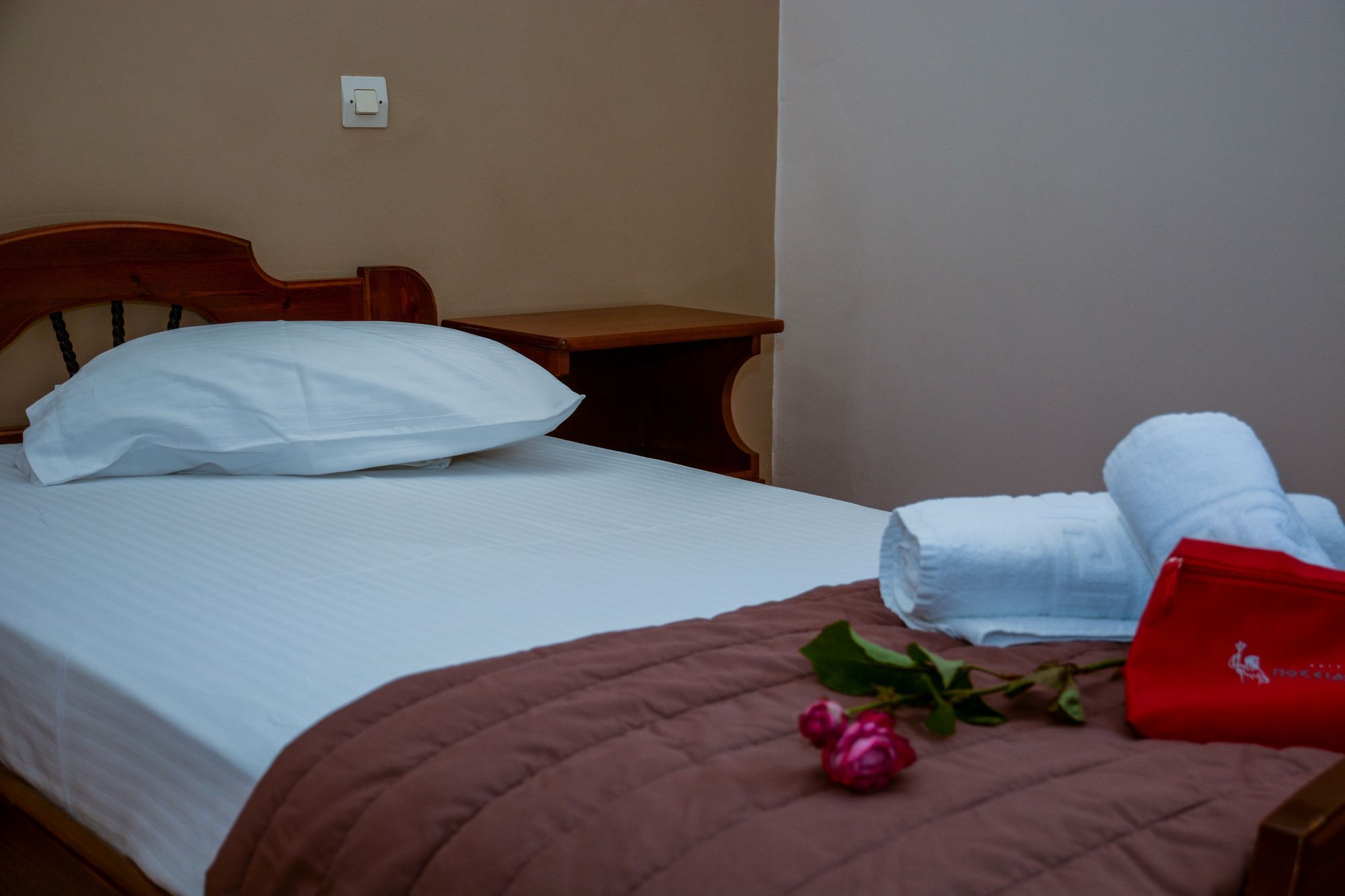 Poseidonio Hotel Тинос Екстериор снимка